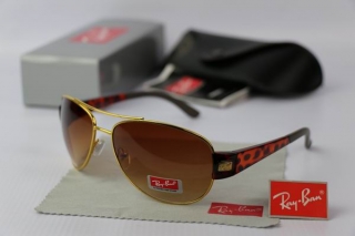 Ray Ban Sunglasses 70309
