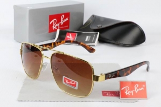 Ray Ban Sunglasses 70390