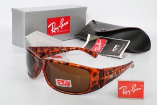 Ray Ban Sunglasses 70411