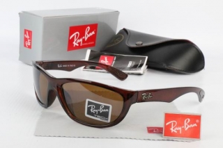 Ray Ban Sunglasses 70438