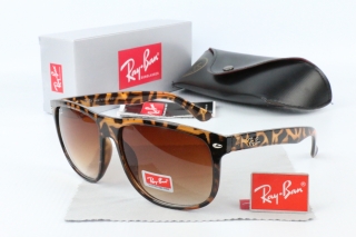Ray Ban Sunglasses 70494