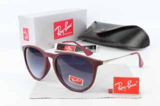 Ray Ban Sunglasses 70501