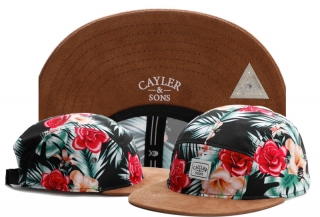 Cayler & Sons Snapback Hats 72322