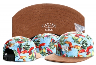 Cayler & Sons Snapback Hats 72327