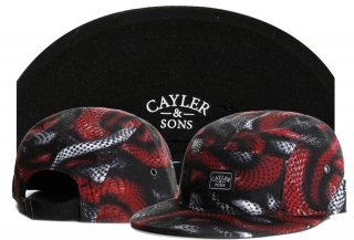 Cayler & Sons Snapback Hats 72556