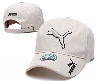 Puma Curved Brim Snapback Hats 73940