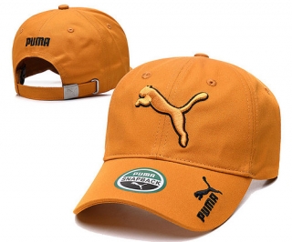 Puma Curved Brim Snapback Hats 73945