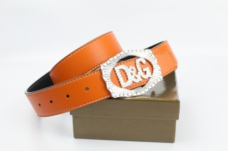 D&G AAA Belts 77988
