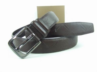 Other AAA Belts 88771