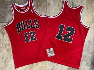 Vintage NBA Chicago Bulls #12 Jordan Jersey 97457