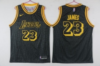 Vintage NBA Los Angeles Lakers #23 James Jersey 97941