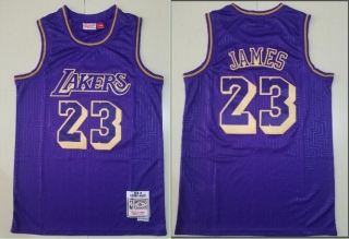 Vintage NBA Los Angeles Lakers #23 James Jersey 97973