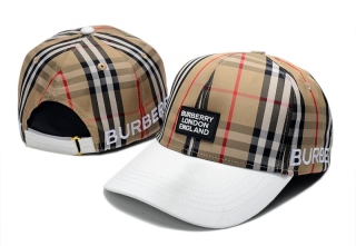 Burberry Curved Snapback Hats 100019