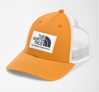 The North Face Curved Mesh Snapback Hats 101211