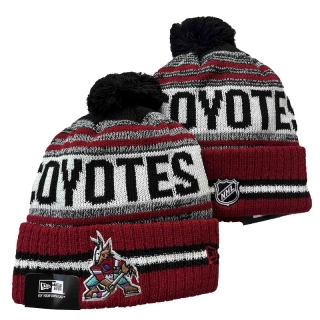 NHL Arizona Coyotes Beanie Hats 101503