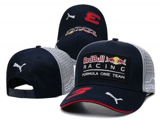Red Bull Curved Mesh Snapback Hats 107656
