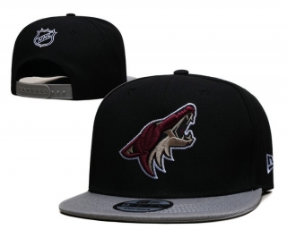 Arizona Coyotes NHL Snapback Hats 108297