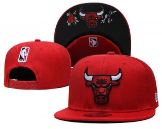NBA Chicago Bulls 9FIFTY Snapback Hats 92601