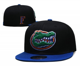 Florida Gators NCAA 9FIFTY Snapback Hats 111049