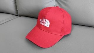 The North Face Curved Snapback Hats 111367