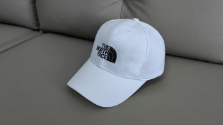 The North Face Curved Snapback Hats 111368