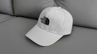 The North Face Curved Snapback Hats 111369