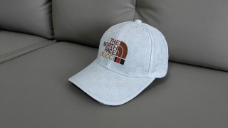 The North Face Curved Snapback Hats 111374