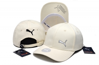 Puma High Quality Curved Strapback Hats 111383