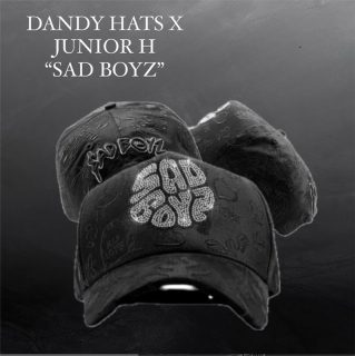 DANDY HATS X JUNIOR H SAD BOYΖ Curved Snapback Hats NFC Chip Works 127498