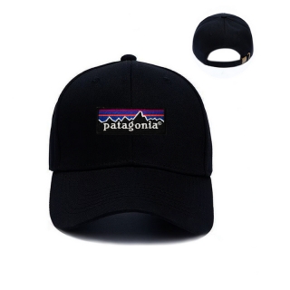 Patagonia Curved Adjustable Hats 129902