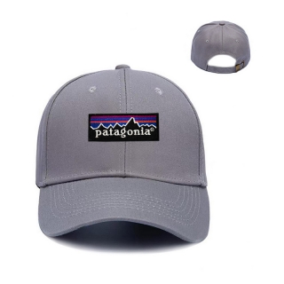 Patagonia Curved Adjustable Hats 129906