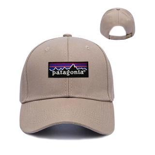 Patagonia Curved Adjustable Hats 129908
