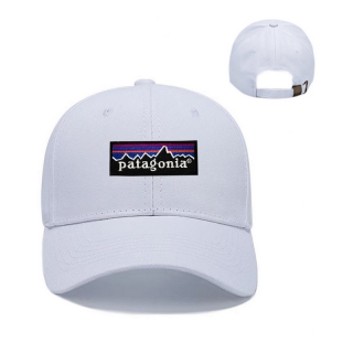Patagonia Curved Adjustable Hats 129907
