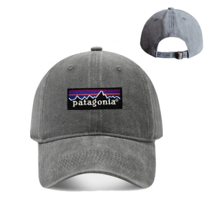 Patagonia Curved Adjustable Hats 129912
