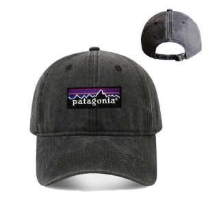 Patagonia Curved Adjustable Hats 129913