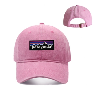 Patagonia Curved Adjustable Hats 129915