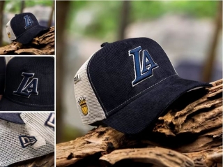 Los Angeles Dodgers MLB Curved Mesh Adjustable Hats 131335